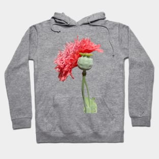 Pink Peony Poppy Flower Hoodie